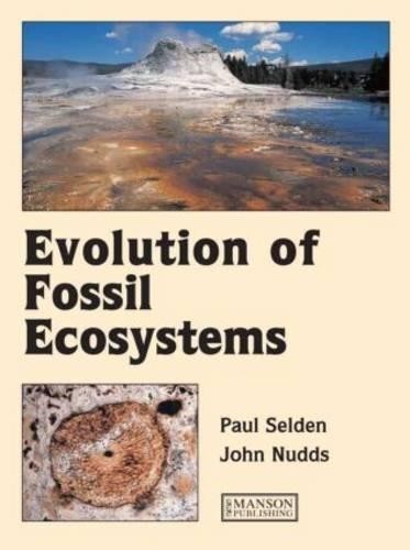 Evolution fossil - of,