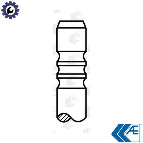 Exhaust valve v91998 for c - valve,