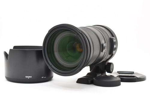 Mint hood sigma apo - [mint,
