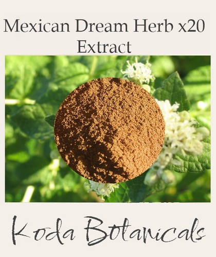 Mexican dream herb - dream, 20:1
