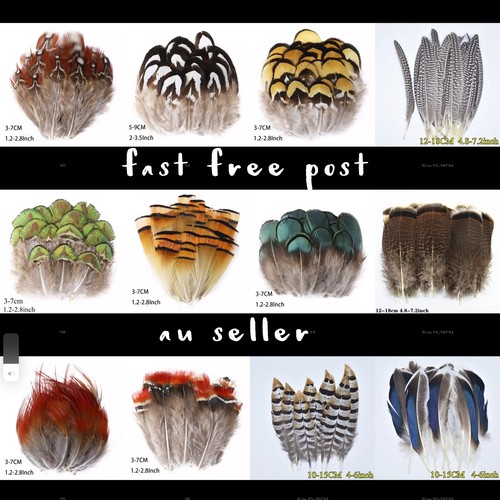 Types natural feathers - natural,