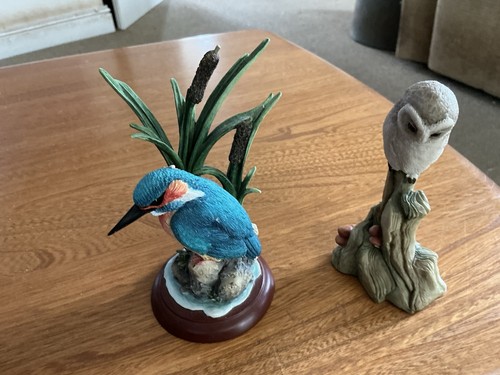 Border fine arts - border, kingfisher