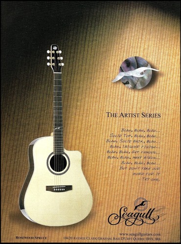 2002 seagull artist - artist, series