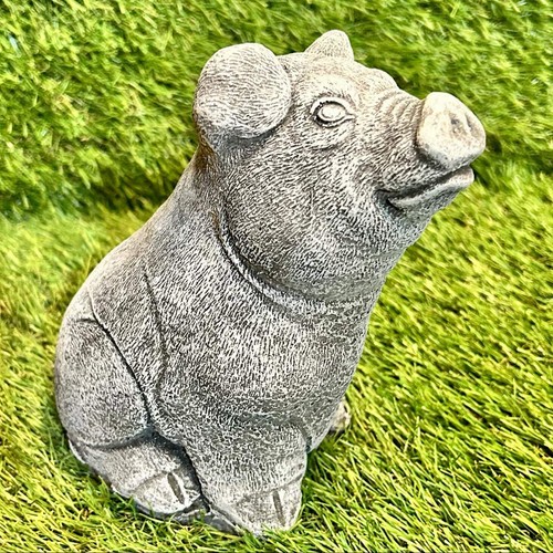 Concrete sitting pig outdoor - sitting,