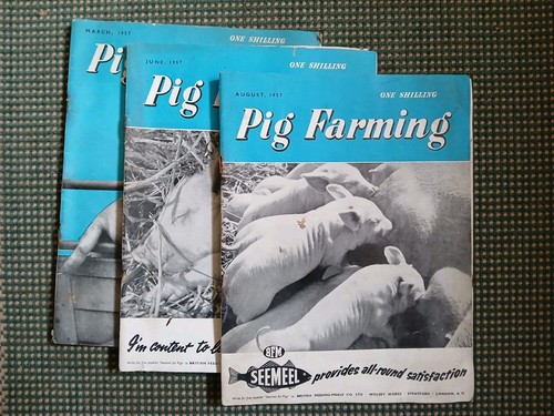 Rare 1957 pig farming - 1957-3x,