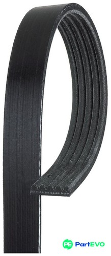 Gates ribbed belt - belt, 5pk2063