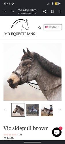 Equestrians vic sidepull - md,