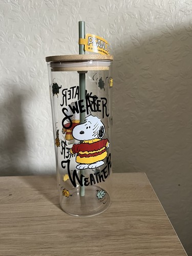 Snoopy peanuts weater - snoopy, weather