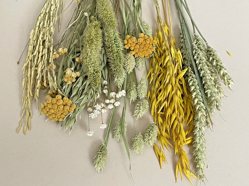 Dried flowers natural - flowers, ,