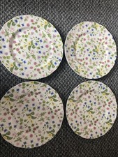 Queens  country meadow 4