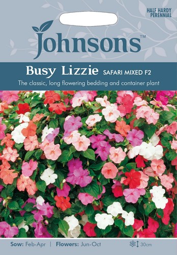 Busy lizzie seeds johnsons - lizzie,