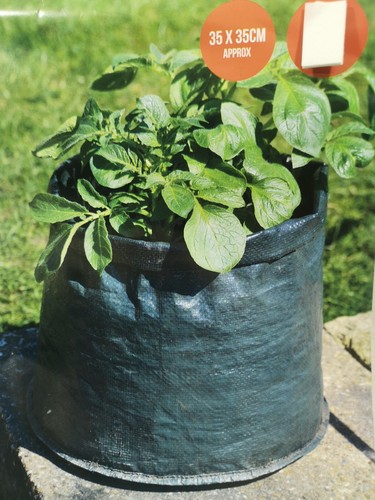 Potato vegetable planters - 1, x
