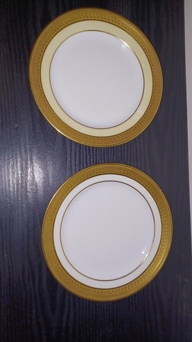 Limoges 75 plates - 2,