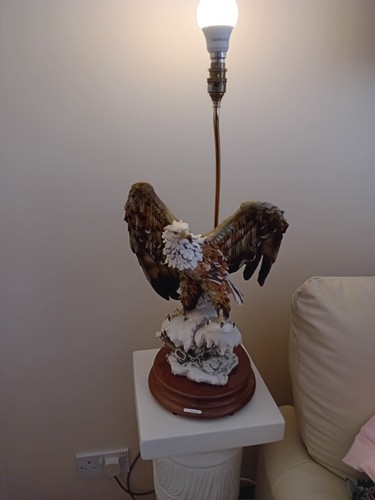 Giuseppe armani bald - "bald, eagle"
