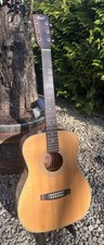 Cort Acoustic Guitar Earth-72