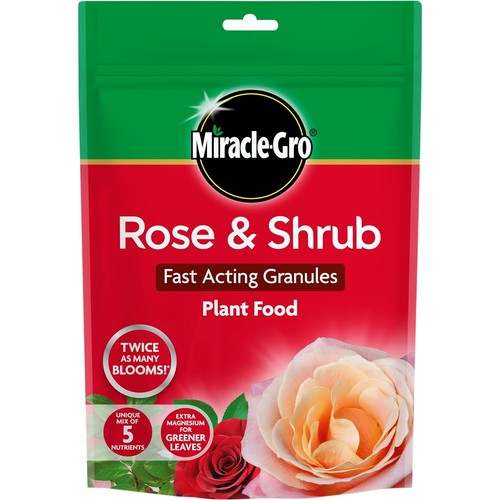 Miracle gro rose and - rose,