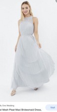 Coast Silver Mesh Pleat Maxi