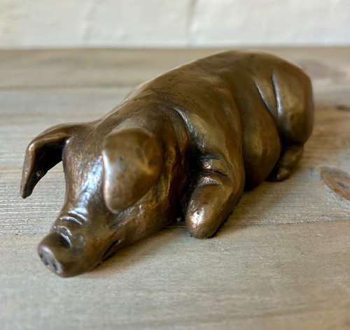 Frith pig laying down cold - frith,