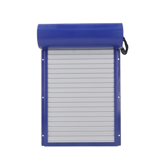 Auto chicken coop door time - chicken,
