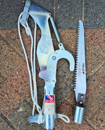 Tree pruning saw - amd, lopper