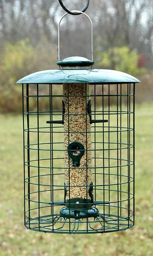 Woodlink caged seed - seed, tube