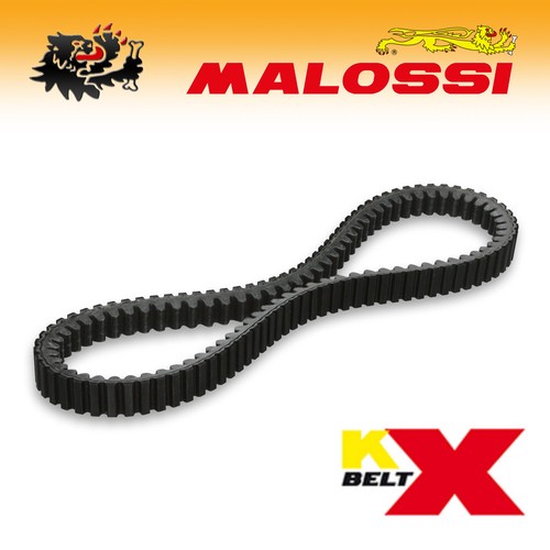 6113500 malossi transmission - [malossi],