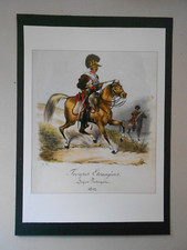 MILITARY PRINT- NAPOLEONIC