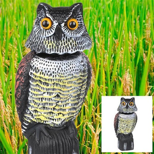 Realistic owl decoy - realistic,
