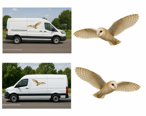 Barn owl van - barn,