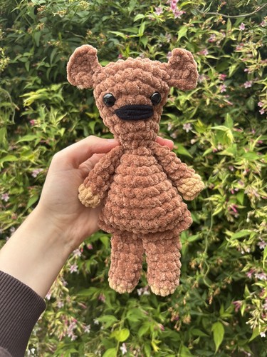 Handmade crochet bean teddy - mr,