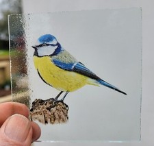 Stained Glass Blue Tit bird