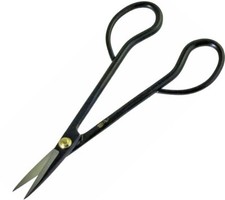 Fujimitsu Satsuki Azalea