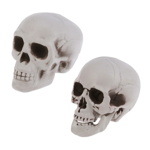 Pcs halloween skulls - 4,