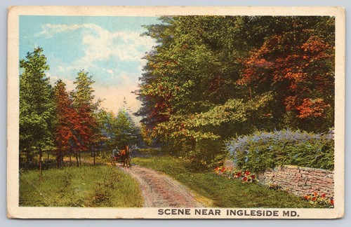 1915 tree lined - 1915, road