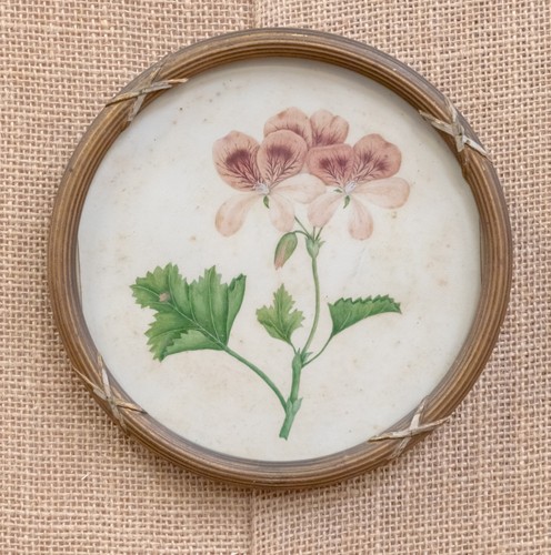Antique miniature botanical - antique,