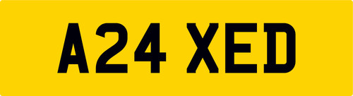 Axed tree surgeon reg number - tree,