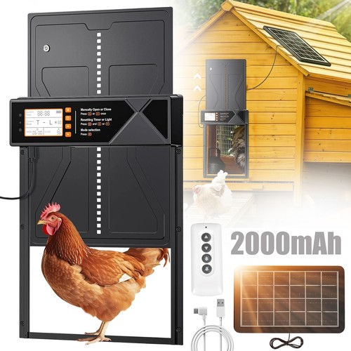 Automatic chicken coop door - chicken,