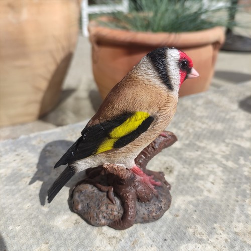 Vivid arts goldfinch bird - vivid,