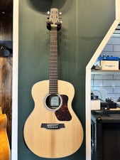 Walden 550RE Acoustic Guitar - Including Gig bag - Natural Satin 