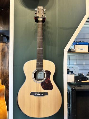 Walden 550re acoustic - acoustic,