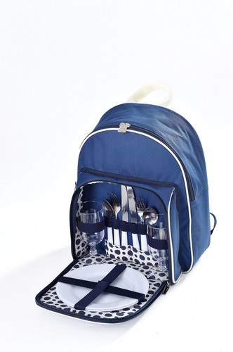 Insulated picnic backpack - insulated,