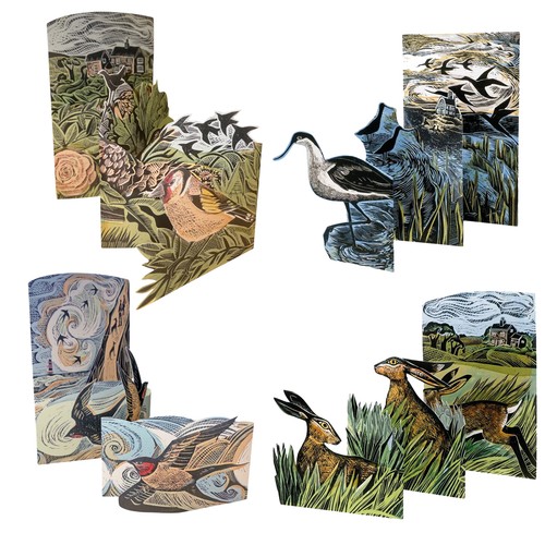 Concertina greeting cards - concertina,
