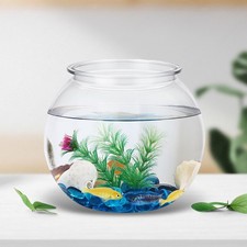 Transparent Small Tank, Tank