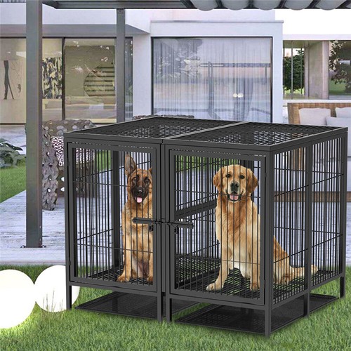 Large double dog - dog, crates