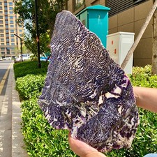 Zebra Stone Slice Black White Natural Crystal Specimen  - 9LB