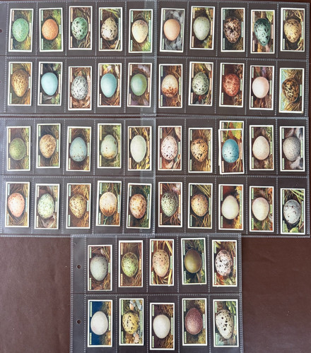 Ogdens full set birds eggs - ogdens-full, set-