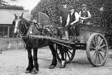 Csg-96 Social History, Horse Drawn Farm Cart, Unknown Location. Photo