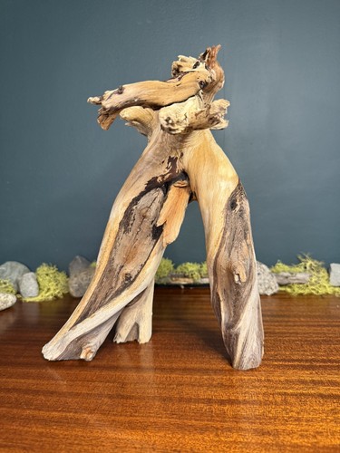 Manzanita driftwood - 15”,
