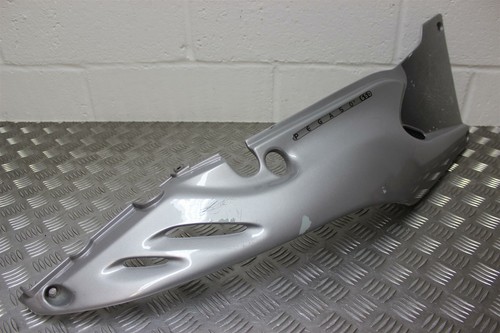 Pegaso 650 panel - pegaso,