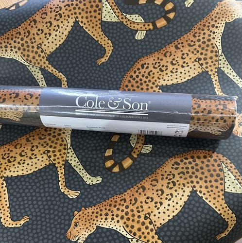 Cole son leopard walk - cole, &